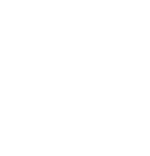 Young Lions